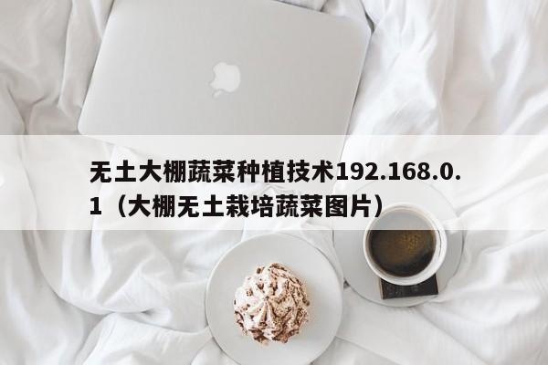 無土大棚蔬菜種植技術(shù)192.168.0.1（大棚無土栽培蔬菜圖片）