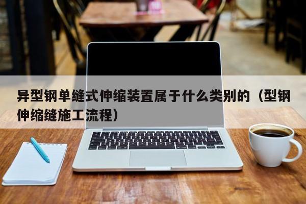 異型鋼單縫式伸縮裝置屬于什么類別的（型鋼伸縮縫施工流程）